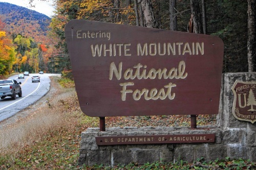 White Mountain 